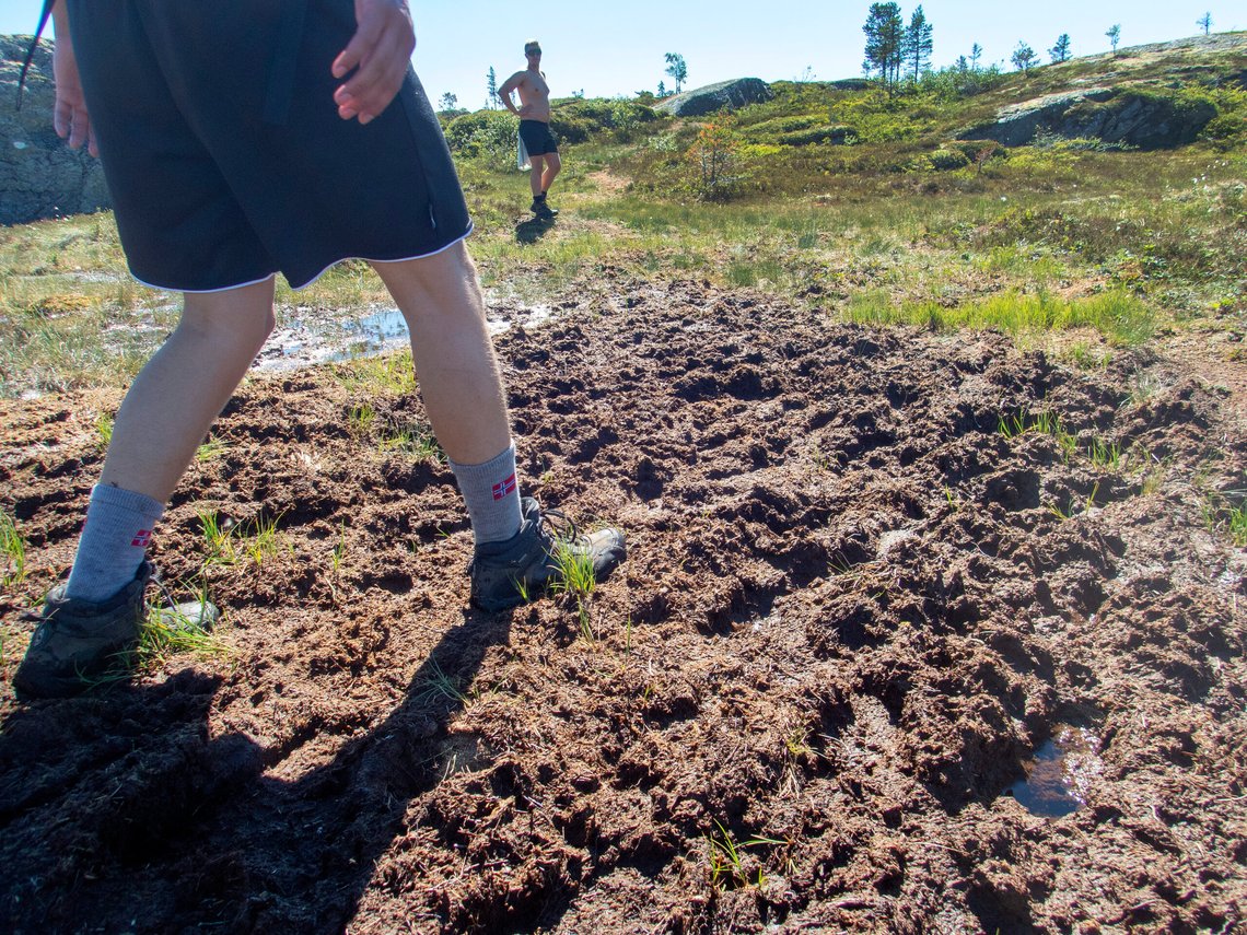 Trondheim 20180704.
Gutter går på myr på Jervfjellet ved Trondheim. Modellklarert.
Foto: Gorm Kallestad / NTB Trondheim 20180704.
Gutter går på myr på Jervfjellet ved Trondheim. Modellklarert.
Foto: Gorm Kallestad / NTB