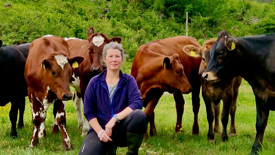 FORBUD: Melkebonde Ellen Hartveit er glad i kyrene sine, og sier hun ikke er fornøyd før det blir forbud mot Bovaer. Foto: Privat FORBUD: Melkebonde Ellen Hartveit er glad i kyrene sine, og sier hun ikke er fornøyd før det blir forbud mot Bovaer. Foto: Privat