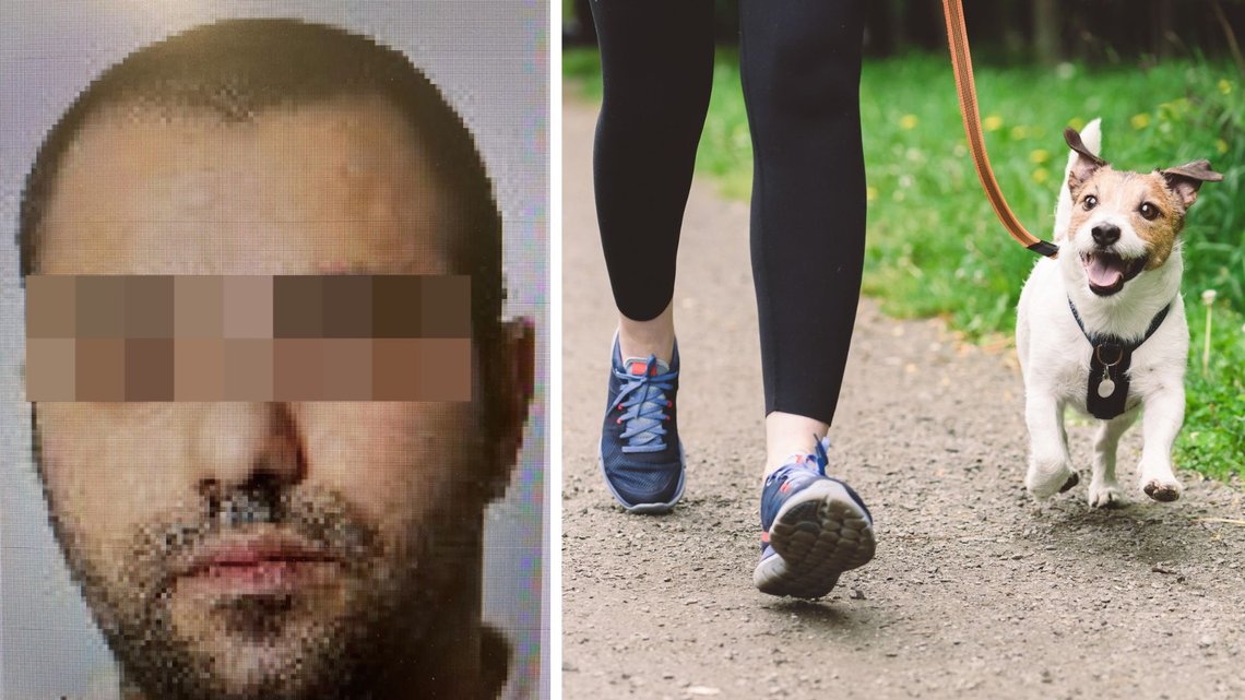 Ali S. (til venstre) er en iransk illegal innvandrer som har terrorisert den tyske byen Glinde. Ali S. (til venstre) er en iransk illegal innvandrer som har terrorisert den tyske byen Glinde.