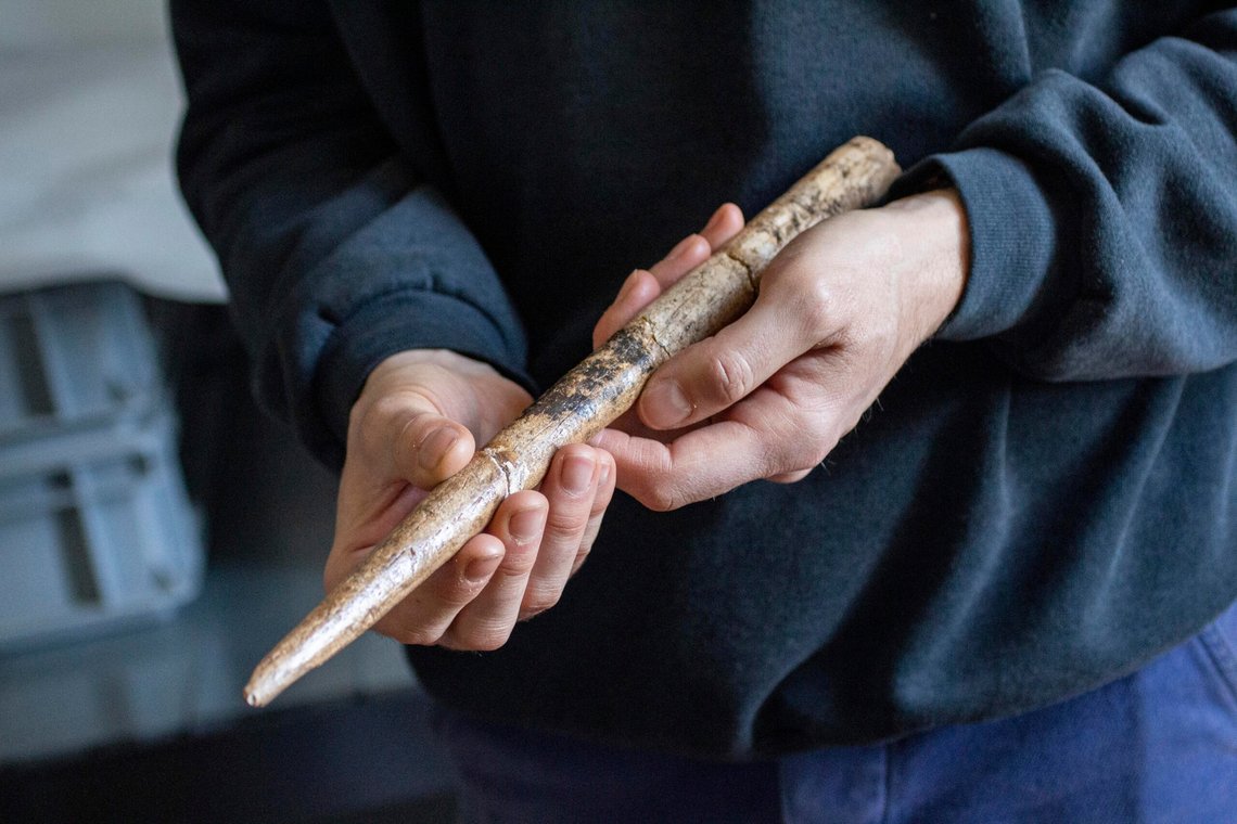 Her vises et prosjektil laget av gråhvalbein, som dateres tilbake til omtrent 18 000 år siden. Mennesker som levde ved den franske og spanske kysten ved Biscayabukta, sanket trolig bein fra strandede hvaler og formet redskap av dem. Foto: Alexandre Lefebvre via AP / NTB Her vises et prosjektil laget av gråhvalbein, som dateres tilbake til omtrent 18 000 år siden. Mennesker som levde ved den franske og spanske kysten ved Biscayabukta, sanket trolig bein fra strandede hvaler og formet redskap av dem. Foto: Alexandre Lefebvre via AP / NTB