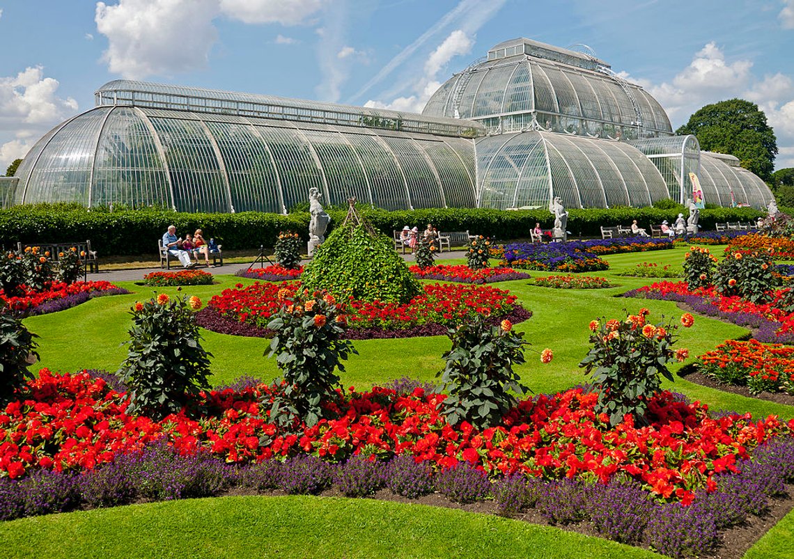 Blomster foran Palm House, Kew Gardens. Foto: Daniel Case / Wikimedia Commons (CC BY-SA 3.0) Blomster foran Palm House, Kew Gardens. Foto: Daniel Case / Wikimedia Commons (CC BY-SA 3.0)