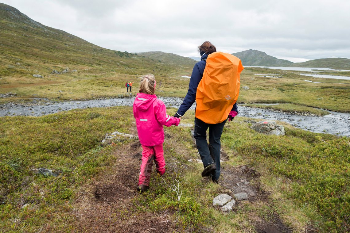 Illustrasjonsbilde. Foto: Gorm Kallestad / NTB Illustrasjonsbilde. Foto: Gorm Kallestad / NTB