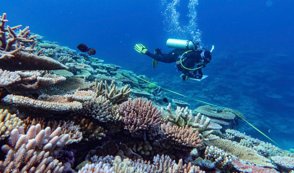 Som så ofte før brukes korallrevene, her fra Great Barrier Reef utenfor kysten av Australia, også i år til å skremme oss med klimadøden. Foto: Australian Institute of Marine Science via AP / NTB. Som så ofte før brukes korallrevene, her fra Great Barrier Reef utenfor kysten av Australia, også i år til å skremme oss med klimadøden. Foto: Australian Institute of Marine Science via AP / NTB.