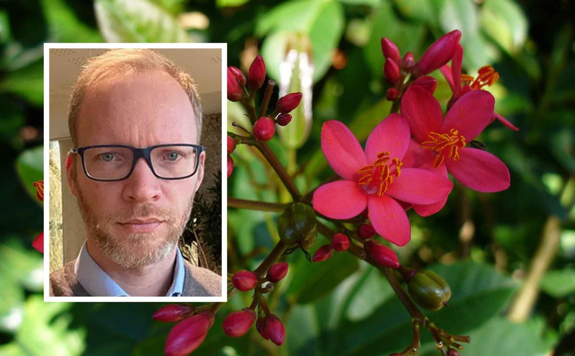 Kjøpte Statoil seg spesialbehandling i domstolen gjennom ansettelsen av dommerfullmektig Lars Ole Sikkeland mens han jobbet med en sivil straffesak mot sin nye arbeidsgiver? Det mener gründerne bak konkursrammede Biofuel AS. Firmaet produserte råstoff til biodrivstoff fra jatropha-planten. (Hovedfoto: Wikimedia Commons. Innfelt: UiO/Privat.) Kjøpte Statoil seg spesialbehandling i domstolen gjennom ansettelsen av dommerfullmektig Lars Ole Sikkeland mens han jobbet med en sivil straffesak mot sin nye arbeidsgiver? Det mener gründerne bak konkursrammede Biofuel AS. Firmaet produserte råstoff til biodrivstoff fra jatropha-planten. (Hovedfoto: Wikimedia Commons. Innfelt: UiO/Privat.)