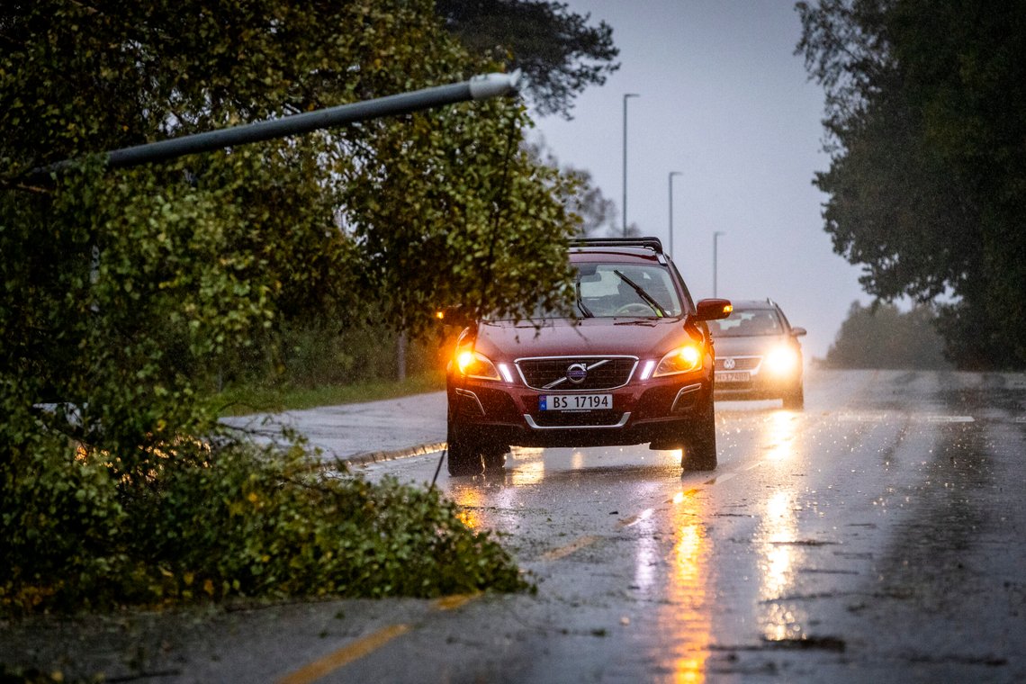 En liten storm er nok til å velte en stor tue i beredskapslandet Norge. Foto: Trond R. Teigen / NTB En liten storm er nok til å velte en stor tue i beredskapslandet Norge. Foto: Trond R. Teigen / NTB