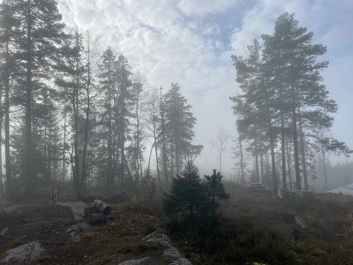 Nordmenn har et sterkt forhold til naturen og svinger i takt med årstidende. Det er vårt DNA. Foto: Document Nordmenn har et sterkt forhold til naturen og svinger i takt med årstidende. Det er vårt DNA. Foto: Document