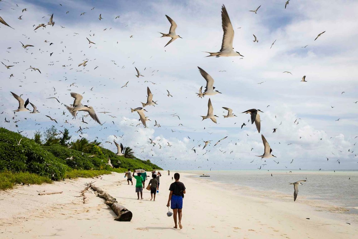 Palau ligger i Stillehavet, rundt 80 mil øst for Filippinene, og består av en rekke vulkanske øyer, skjær og korallrev. Foto: Yannick Peterhans / AP / NTB Palau ligger i Stillehavet, rundt 80 mil øst for Filippinene, og består av en rekke vulkanske øyer, skjær og korallrev. Foto: Yannick Peterhans / AP / NTB