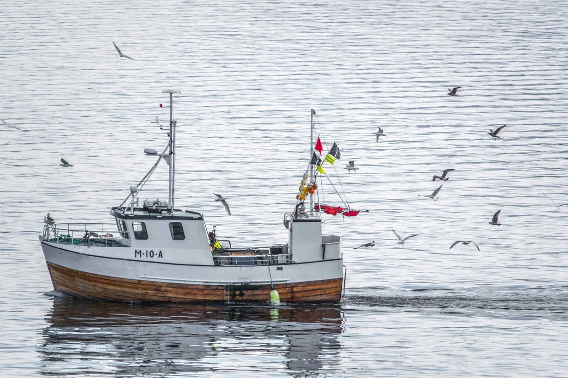 Ålesund 20240328
Liten fiskebåt.
Foto: Halvard Alvik / NTB Ålesund 20240328
Liten fiskebåt.
Foto: Halvard Alvik / NTB