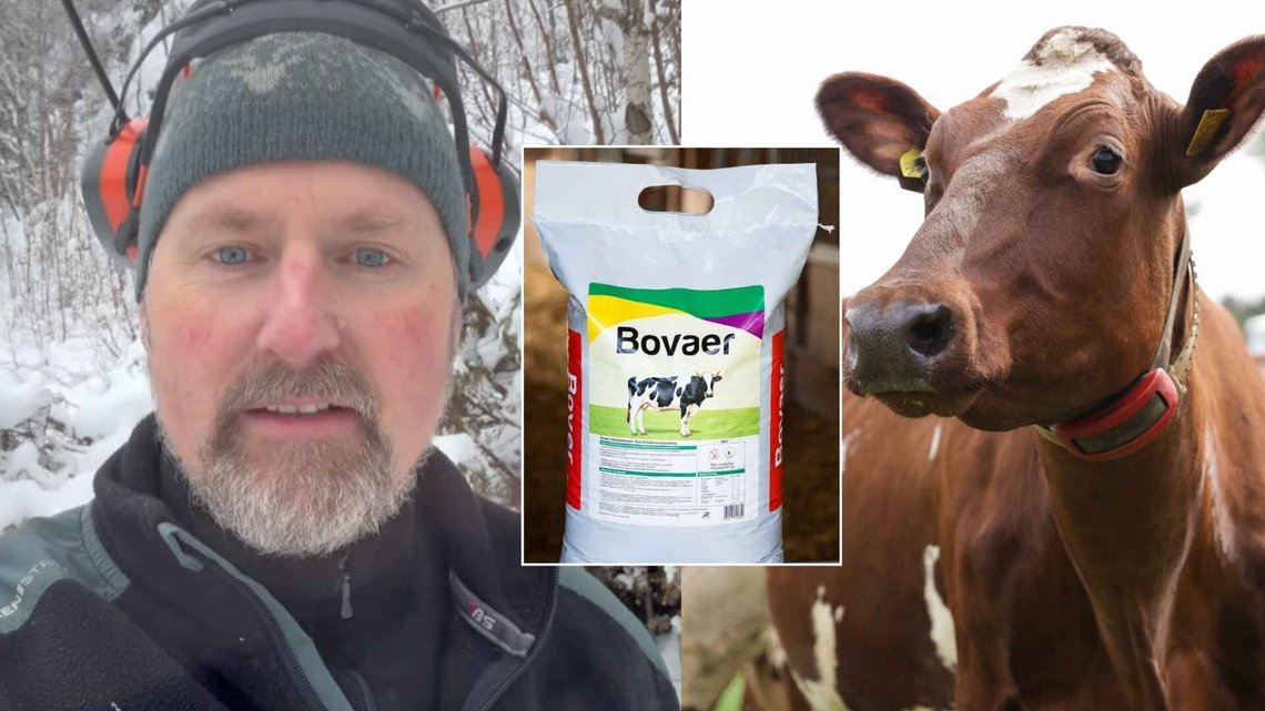 ANMELDT: Folkebevegelsen mot metanhemmer går til politianmeldelse av Mattilsynet, og melder fra til Økokrim om brudd på dyrevelferdsloven og «grønnvasking». Foto: Privat/Illustrasjonsbilde ANMELDT: Folkebevegelsen mot metanhemmer går til politianmeldelse av Mattilsynet, og melder fra til Økokrim om brudd på dyrevelferdsloven og «grønnvasking». Foto: Privat/Illustrasjonsbilde