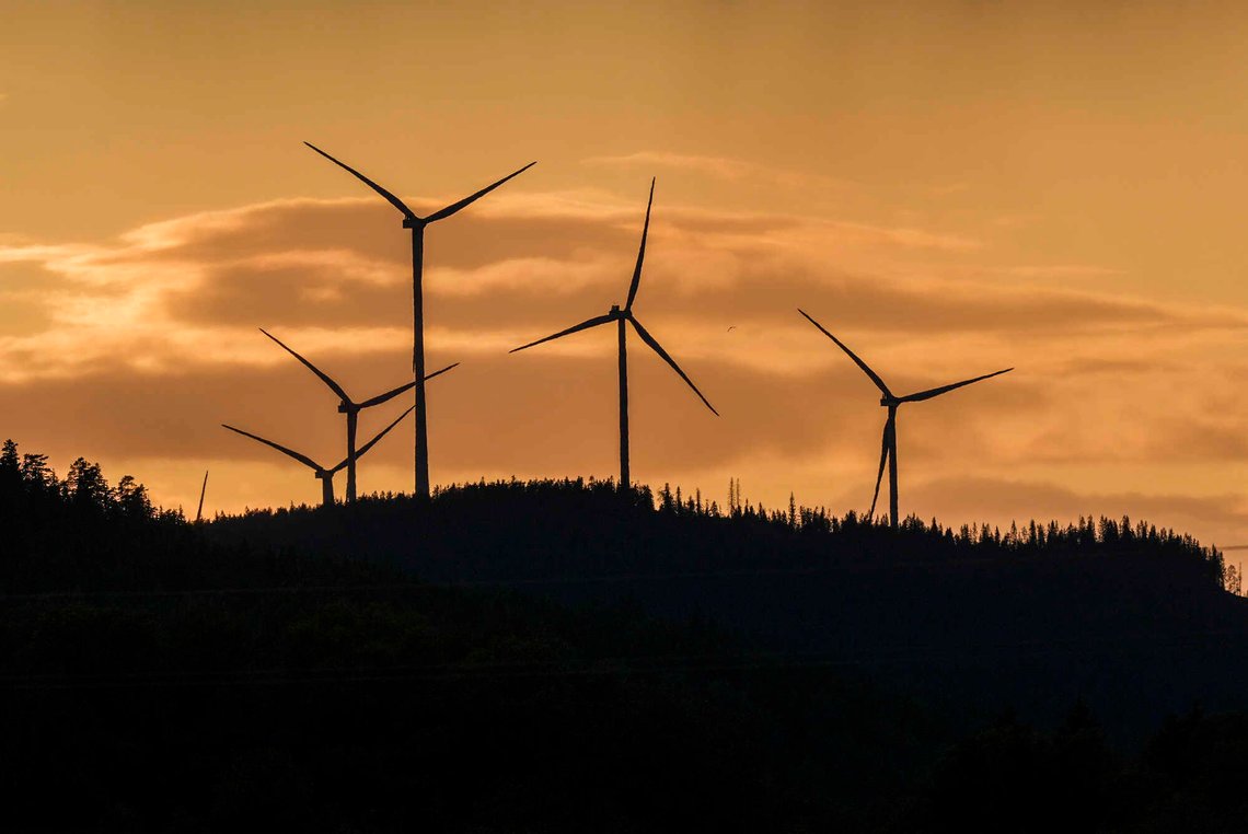 Bærum 20250618.
Vindmøller i solnedgang i Odalen.
Foto: Terje Pedersen / NTB Bærum 20250618.
Vindmøller i solnedgang i Odalen.
Foto: Terje Pedersen / NTB