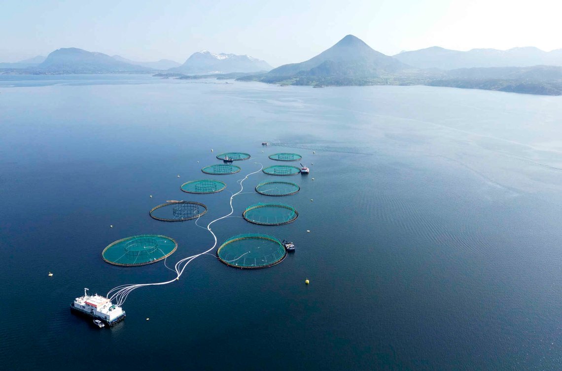 Aukra 20230522.
Laks, Regnbueørret og Ørret i oppdrettsanlegg i havet ved Aukrasanden med Jendemsfjellet i bakgrunnen.
MOWI SEAWATER NORWAY AS som har anlegget.
Foto: Gorm Kallestad / NTB Aukra 20230522.
Laks, Regnbueørret og Ørret i oppdrettsanlegg i havet ved Aukrasanden med Jendemsfjellet i bakgrunnen.
MOWI SEAWATER NORWAY AS som har anlegget.
Foto: Gorm Kallestad / NTB