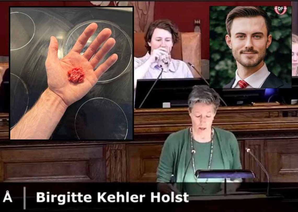 Hovedbilde: Skjermbilde fra Facebook. Birgitte Kehler Holst, Partiet Alternativet, Københavns byråd, 30. april. Innsatte bilder: Malte Larsen fra Dansk Folkeparti og et bilde han tok av den daglige kjøttrasjonen som Holst har foreslått for eldre. Kilde: X Hovedbilde: Skjermbilde fra Facebook. Birgitte Kehler Holst, Partiet Alternativet, Københavns byråd, 30. april. Innsatte bilder: Malte Larsen fra Dansk Folkeparti og et bilde han tok av den daglige kjøttrasjonen som Holst har foreslått for eldre. Kilde: X