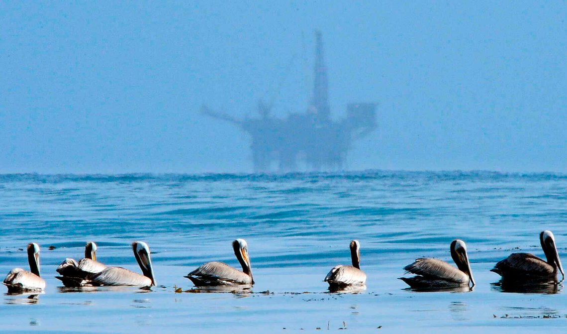 Pelikaner svømmer utenfor kysten av Santa Barbara i California. En oljeplattform kan ses i bakgrunnen. Foto: Mark J. Terrill / AP / NTB. Pelikaner svømmer utenfor kysten av Santa Barbara i California. En oljeplattform kan ses i bakgrunnen. Foto: Mark J. Terrill / AP / NTB.