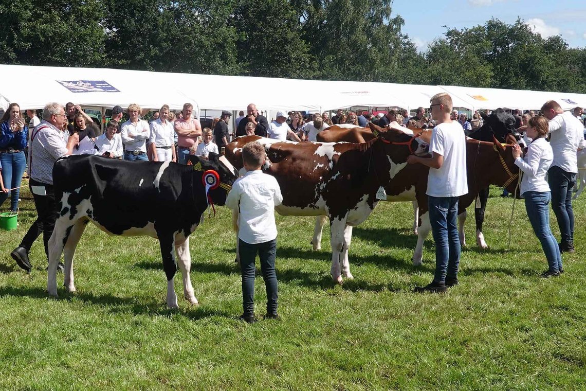 Kommer man langt nok ut på det nederlanske bondelandet, kan man fremdeles finne spor av sunt bondevett. Foto: HenkvD / CC BY-SA 4.0 Kommer man langt nok ut på det nederlanske bondelandet, kan man fremdeles finne spor av sunt bondevett. Foto: HenkvD / CC BY-SA 4.0