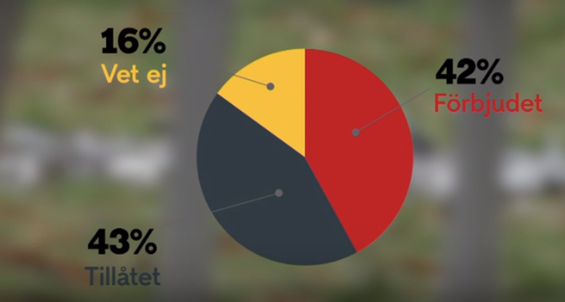 Bild TV4 Bild TV4
