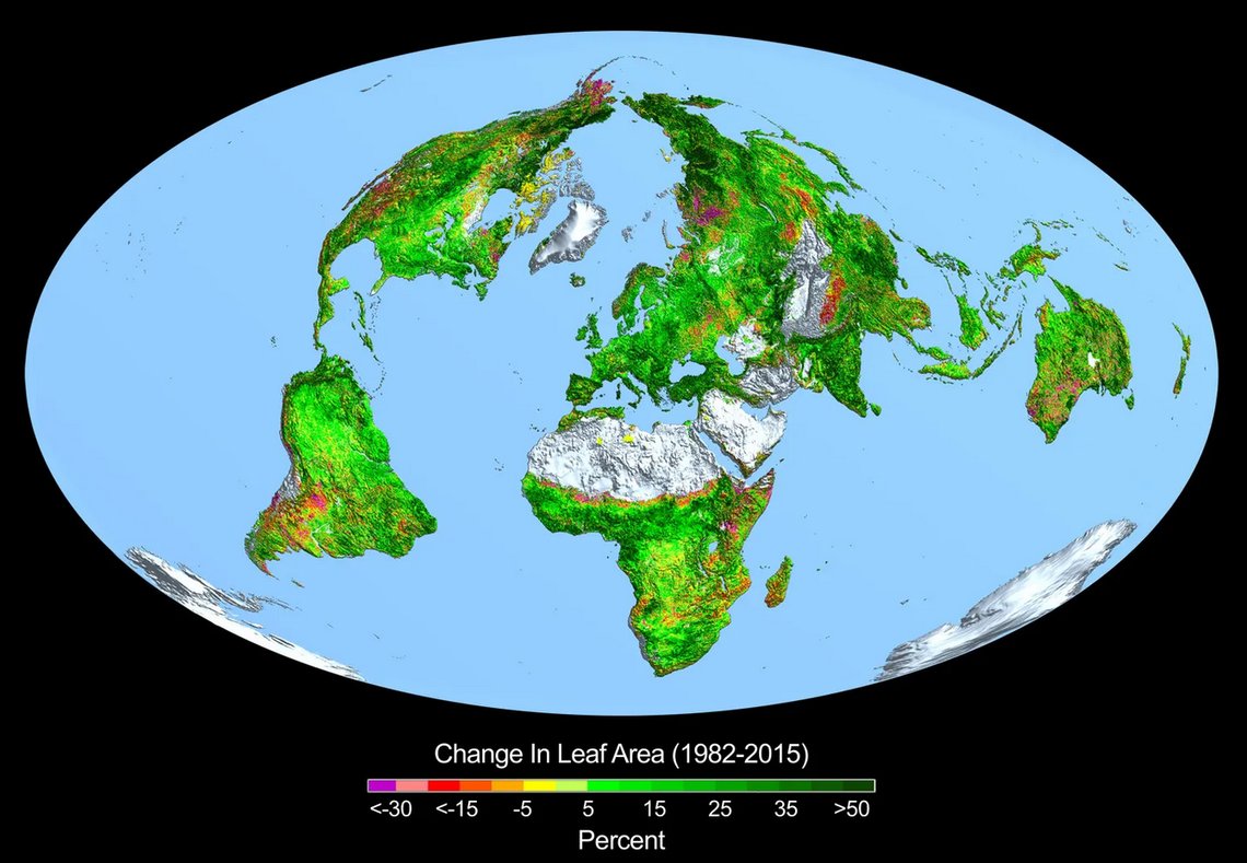 Procentuell förändring av bladarea över hela världen från 1982 till 2015. Illustration: NASA / Wikimedia Procentuell förändring av bladarea över hela världen från 1982 till 2015. Illustration: NASA / Wikimedia