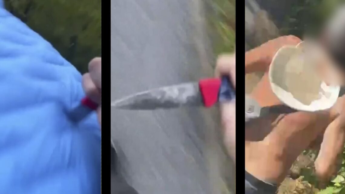 STARKA BILDER: Denna chockerande video från Sverige visar en äldre man bli knivhuggen i ryggen. Totalt har pojken attackerat tre separata personer bakifrån, helt hänsynslöst, uppger polisen. STARKA BILDER: Denna chockerande video från Sverige visar en äldre man bli knivhuggen i ryggen. Totalt har pojken attackerat tre separata personer bakifrån, helt hänsynslöst, uppger polisen.