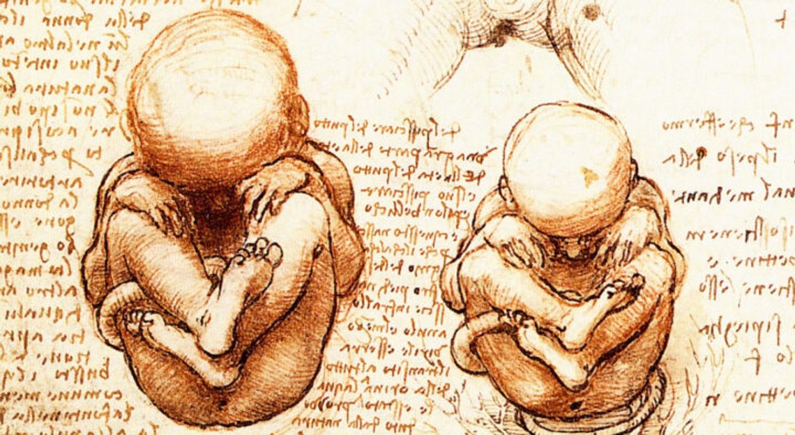 Leonardo da Vinci (1452–1519), manuskript från studier av foster, Royal Library på Windsor Castle. Leonardo da Vinci (1452–1519), manuskript från studier av foster, Royal Library på Windsor Castle.
