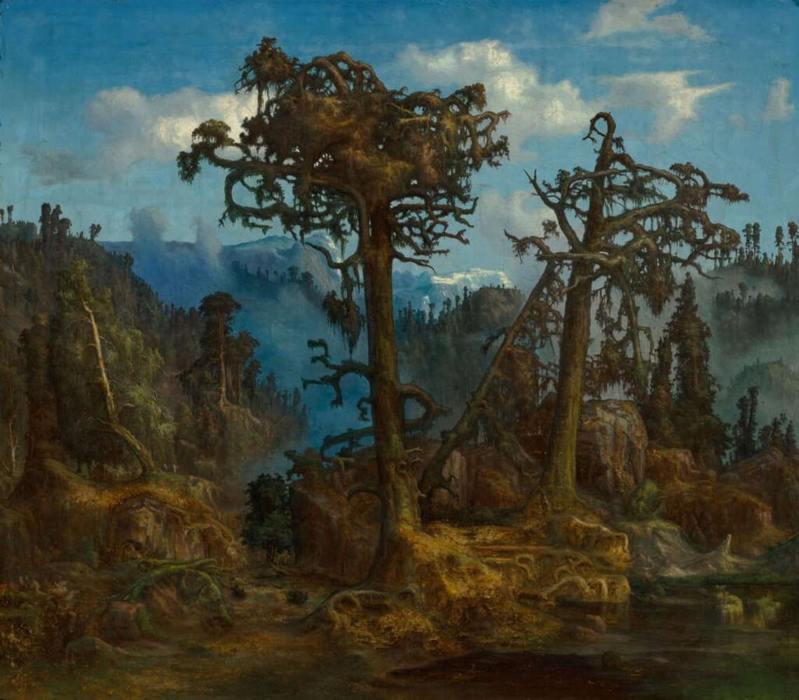 Lars Hertervig, "Gamla tallar", 1865, olja på duk, 64 x 74,5 cm. Foto: Dag Myrestrand / Museum Stavanger. Lars Hertervig, "Gamla tallar", 1865, olja på duk, 64 x 74,5 cm. Foto: Dag Myrestrand / Museum Stavanger.