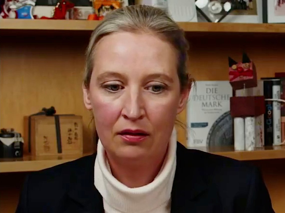 Alice Weidel i samtal med Elon Musk. Foto: Skärmdump video X. Alice Weidel i samtal med Elon Musk. Foto: Skärmdump video X.