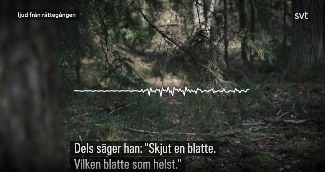 Foto: Skärmdump SVT Foto: Skärmdump SVT