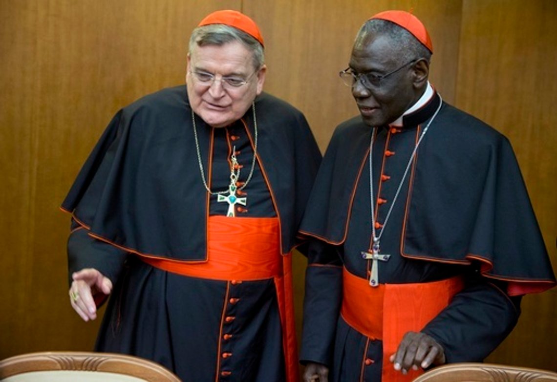 Kardinal Raymond Leo Burke, till vänster, samtalar med kardinal Robert Sarah, prefekt för Kongregationen för gudstjänst och sakramentsdisciplin, när han anländer till presentationen av sin bok "Divine Love Made Flesh", i Rom, 14 oktober 2015. Foto: Andrew Medichini/AP Photo Kardinal Raymond Leo Burke, till vänster, samtalar med kardinal Robert Sarah, prefekt för Kongregationen för gudstjänst och sakramentsdisciplin, när han anländer till presentationen av sin bok "Divine Love Made Flesh", i Rom, 14 oktober 2015. Foto: Andrew Medichini/AP Photo