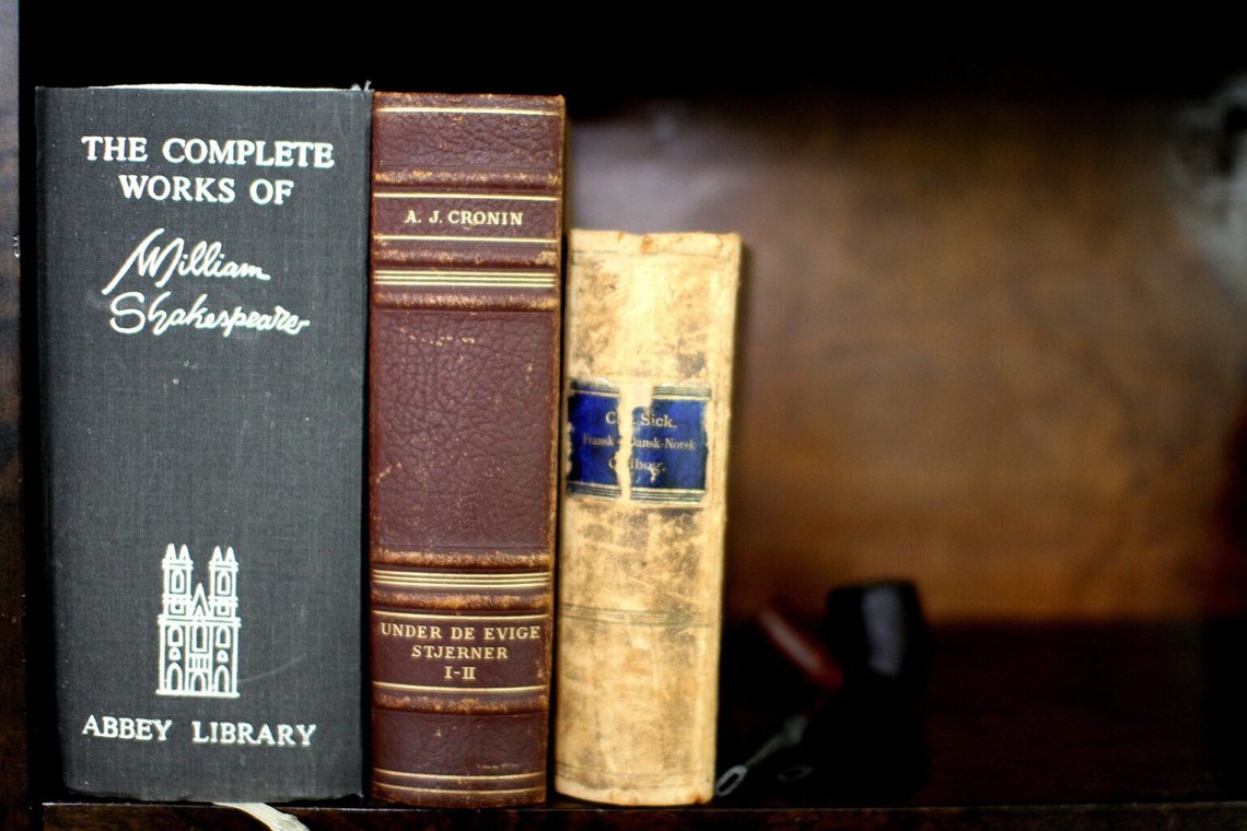 Författare som William Shakespeare och A.J. Cronin var skickliga, eller rena genier. Men det hjälper inte, eftersom båda var brittiska vita män. Foto: Pixabay Författare som William Shakespeare och A.J. Cronin var skickliga, eller rena genier. Men det hjälper inte, eftersom båda var brittiska vita män. Foto: Pixabay