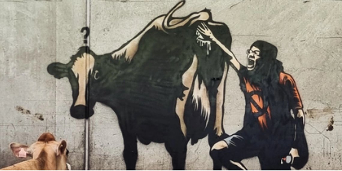 Gården Herikstad utanför Bryne på Jæren har ett nytt konstverk i båsen. "Blame the cows, save the planet", är konstnären Pøbels budskap. Bakgrunden är en växande revolt mot användningen av Bovaer-tistelkudden för att minska metanutsläppen från nötkreatur. Foto: Pøbel/ Facebook Gården Herikstad utanför Bryne på Jæren har ett nytt konstverk i båsen. "Blame the cows, save the planet", är konstnären Pøbels budskap. Bakgrunden är en växande revolt mot användningen av Bovaer-tistelkudden för att minska metanutsläppen från nötkreatur. Foto: Pøbel/ Facebook