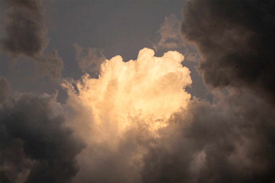 Det finns stor allmän skepsis mot att manipulera skapelsen. Foto: Arnt Jensvoll Det finns stor allmän skepsis mot att manipulera skapelsen. Foto: Arnt Jensvoll
