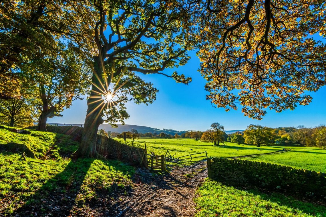 Idyllisk bild från en gård i vackra Yorkshire Dales i norra England. Men böndernas verklighet är inte lika vacker. Foto: Pixabay Idyllisk bild från en gård i vackra Yorkshire Dales i norra England. Men böndernas verklighet är inte lika vacker. Foto: Pixabay