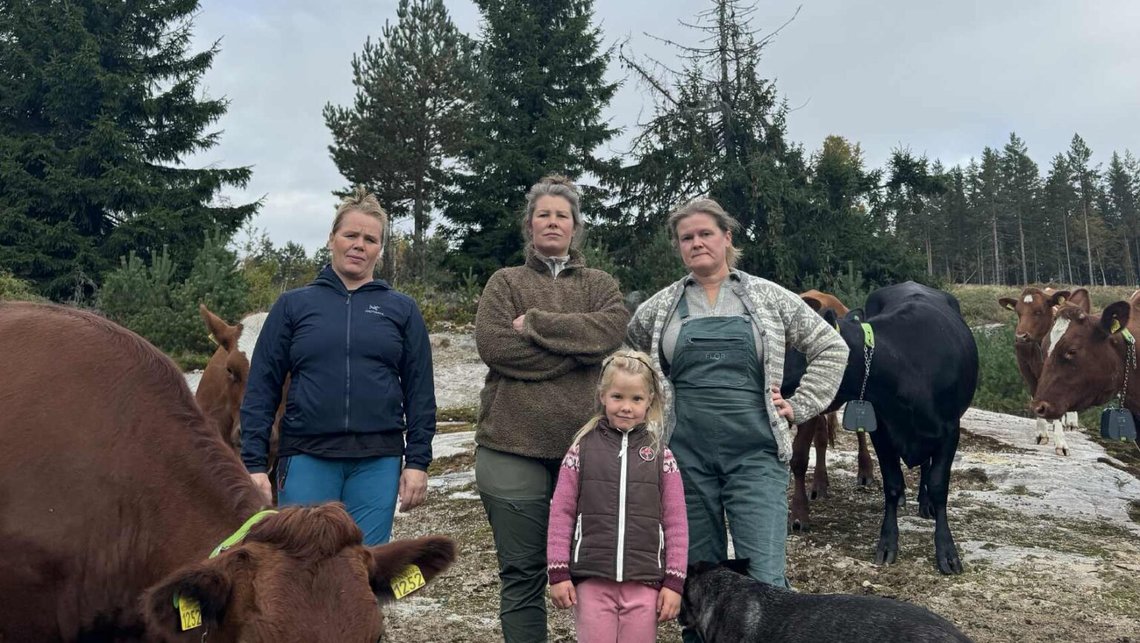 De tre mjölkbönderna Hege Hegnastykket, Ellen Hartveit och Solvor Marie Folkestad har anslutit sig till ungefär 90 procent av mjölkbönderna i Telemark i deras uppror mot TINE:s påtvingade införande av Bovaer. Foto: Privat De tre mjölkbönderna Hege Hegnastykket, Ellen Hartveit och Solvor Marie Folkestad har anslutit sig till ungefär 90 procent av mjölkbönderna i Telemark i deras uppror mot TINE:s påtvingade införande av Bovaer. Foto: Privat