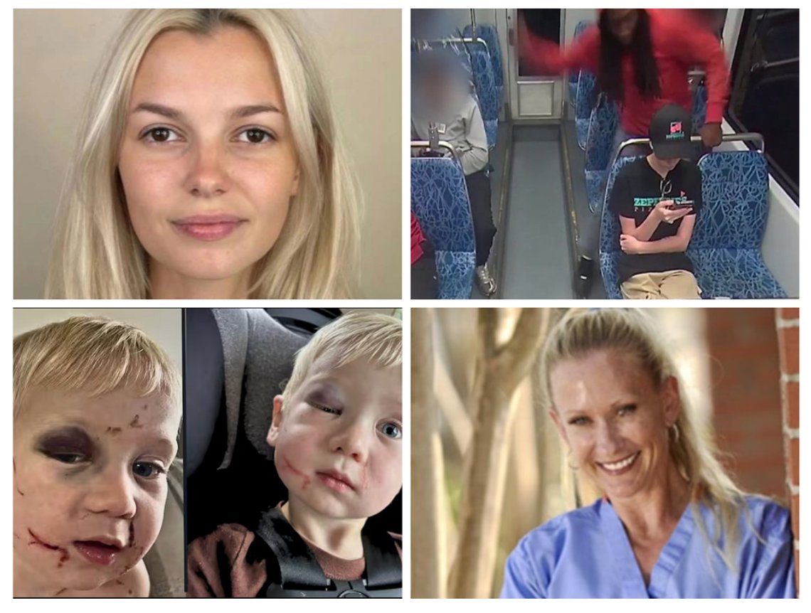 Iryna Zarutska, ukrainsk flykting dödad i USA. Gärningsmannen Decarlos Brown Jr. sa: "Jag fick den vita tjejen" efter mordet. Clay Weeks (1 år gammal), misshandlad av den svarta förskoleanställda Yvette Thurston. Dr. Julie Gard Schnuelle (59), höggs till döds i Kiesel Park av en svart man. Iryna Zarutska, ukrainsk flykting dödad i USA. Gärningsmannen Decarlos Brown Jr. sa: "Jag fick den vita tjejen" efter mordet. Clay Weeks (1 år gammal), misshandlad av den svarta förskoleanställda Yvette Thurston. Dr. Julie Gard Schnuelle (59), höggs till döds i Kiesel Park av en svart man.