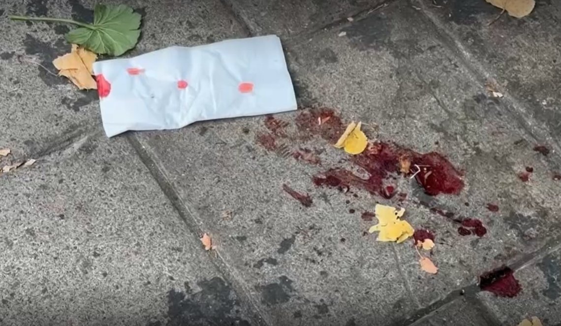 Foto: Skärmdump video SVT Foto: Skärmdump video SVT