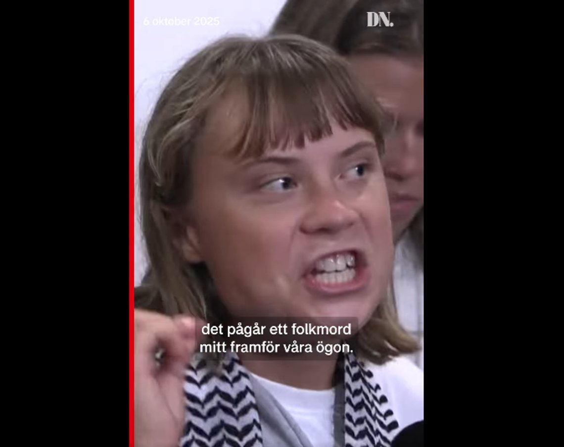 Den jämlikaste av alla jämlikar? Foto: Skärmdump video DN Den jämlikaste av alla jämlikar? Foto: Skärmdump video DN