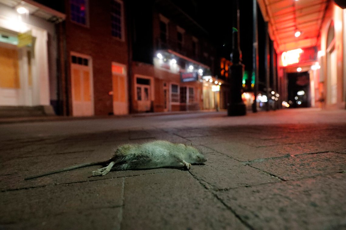 Foto: Gerald Herbert/ AP Photo Foto: Gerald Herbert/ AP Photo